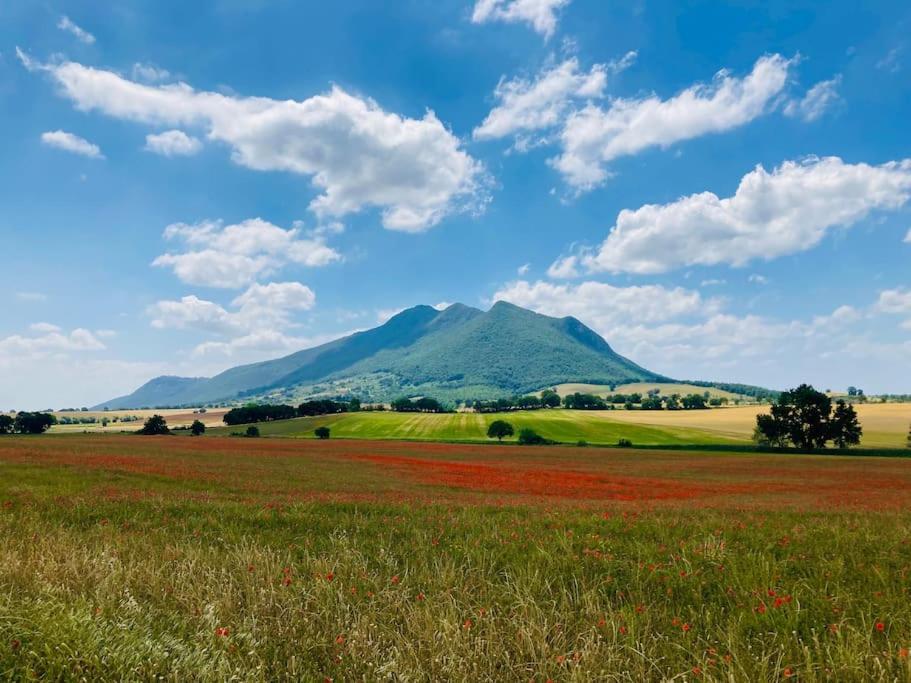 Il Cottage Di Stella Incantevole Appartamento Sant'Oreste Kültér fotó